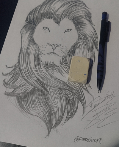 Lion - Hand Drawn drawing lion sketch
