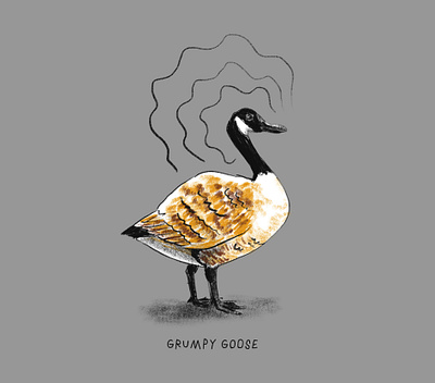 grumpy goose goose hand drawn illustration