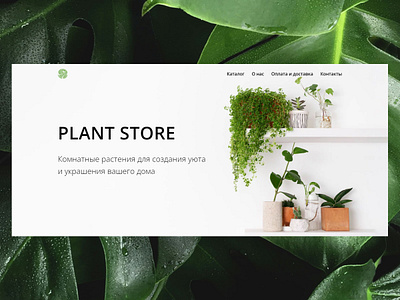 А multi-page website for the sale of indoor plants design minimalism tilda ui web
