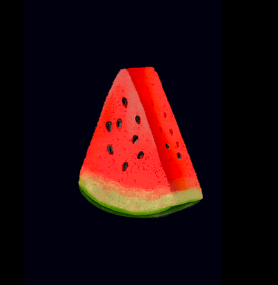 Waternmelon design graphic design illustration procreate ui vector