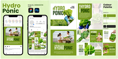 Feed IG Hydroponic branding graphic design ui
