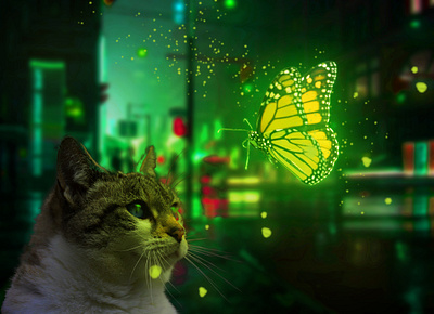 Cat and Butterfly combination glowing effect butterfly butterfly photo cat light effect cat photo glow effect graphic design light effect motion graphics neon light phootograph photo combination photo editing photo manipulation photoshop rgb light