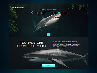 Sea/Ocean Tour Shark Diving Website animation aquarium aquariumwebsite cinematicwebdesign cinematicwebsite conceptwebsite fish logodesign ocean sea sealifewebsite seawebsite shark sharkwebsite tour tourwebsite ui uiux webdesign webdevelopment