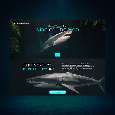 Sea/Ocean Tour Shark Diving Website animation aquarium aquariumwebsite cinematicwebdesign cinematicwebsite conceptwebsite fish logodesign ocean sea sealifewebsite seawebsite shark sharkwebsite tour tourwebsite ui uiux webdesign webdevelopment