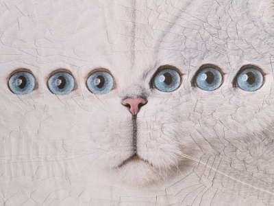 The Gherkin, detail 6 eyes blue eyes cat cats collage eyes portrait six eyes