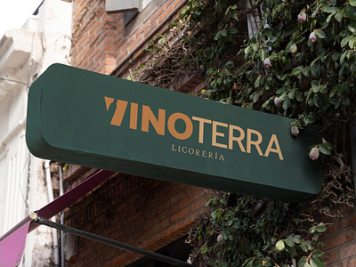Vinoterra - Liquor Store branding graphic design logo