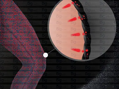 Microscopic elements of a Fiber (3) animation branding design graphic design minimalist