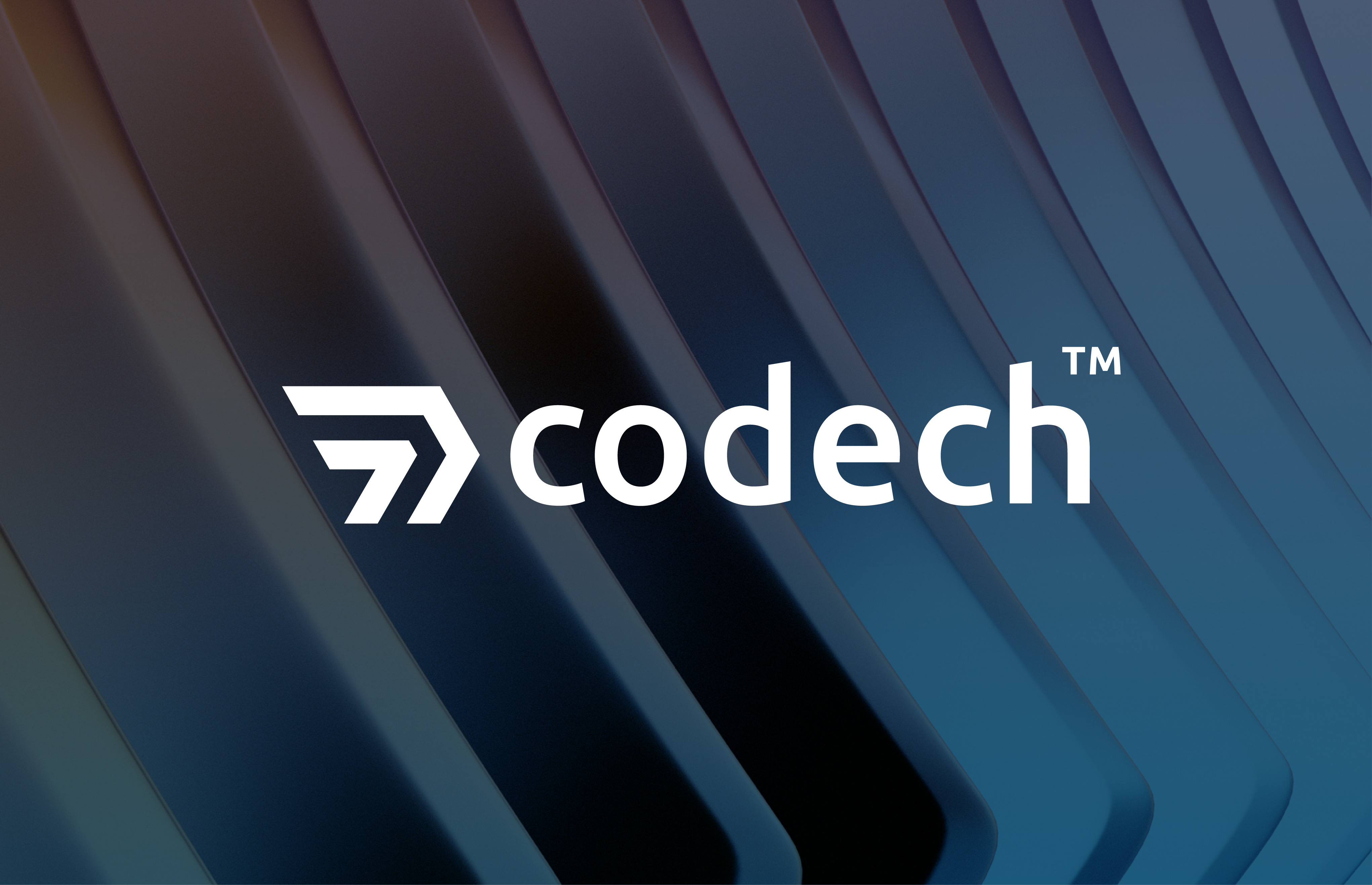 Example of Custom Logo Design Service