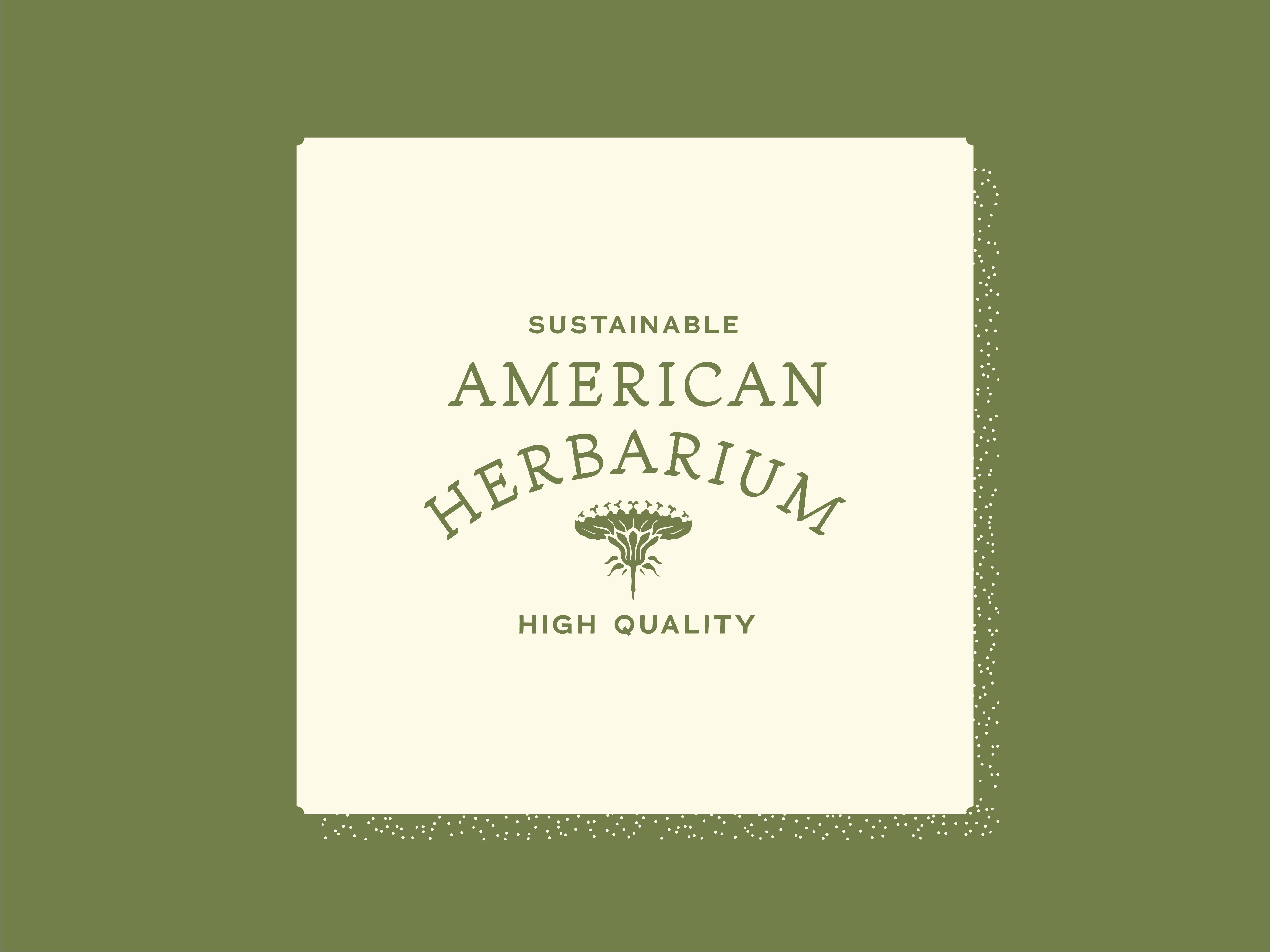 American Herbarium - Branding badge design brand identity branding dandelion editorial floral flower garden hand drawn herb herbal illustration logo logo design packaging typography village vintage vintage logo visual identity