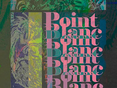 Point Blanc graphic design layout logo