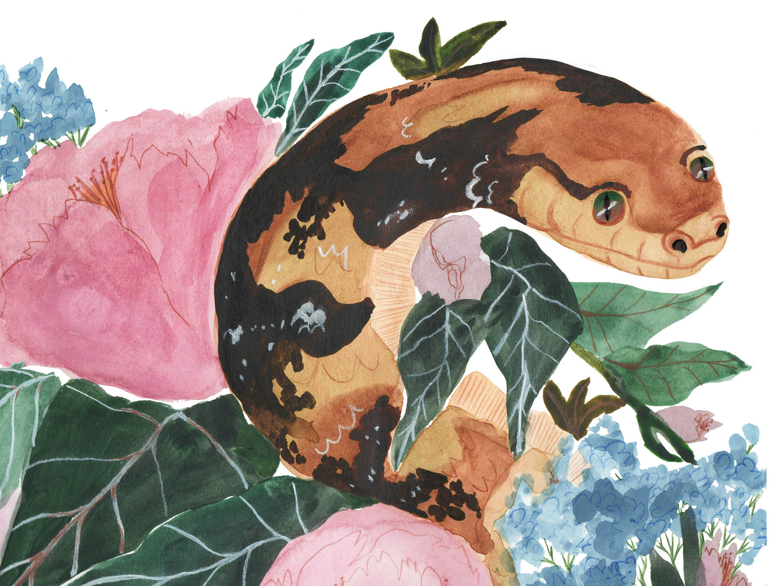 Snake And Peonies by Hollie Foskett on Dribbble