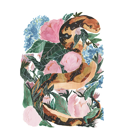 Snake And Peonies editorial illustration illustration magazine traditional illustration zine