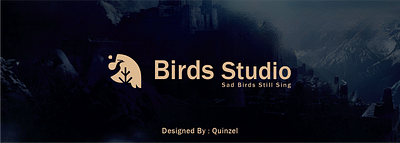 Bird Studio Logo graphic design logo