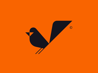 Biiird animal bird brand branding flight fly freedom geometry logo nature orange symbol tail