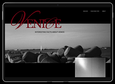 Venice animation design typography ui web