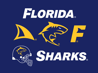 10/32 – Florida Sharks branding design flash sheet florida football graphic design illustration logo shark sharks sports sports branding typography