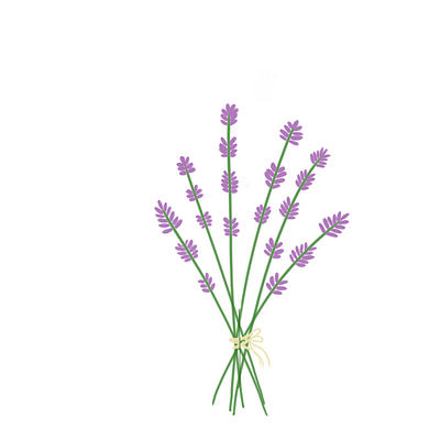 Lavender digital art flowers illustration lavender
