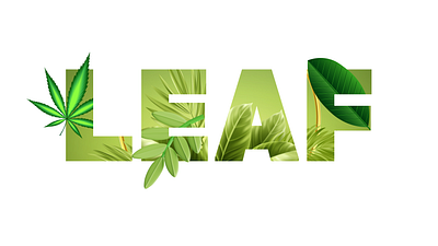 Leaf Text Effects branding design graphic design illustration product design