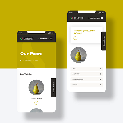 Sbrocco International UI Design design fruit mobile design ui design ux design website design