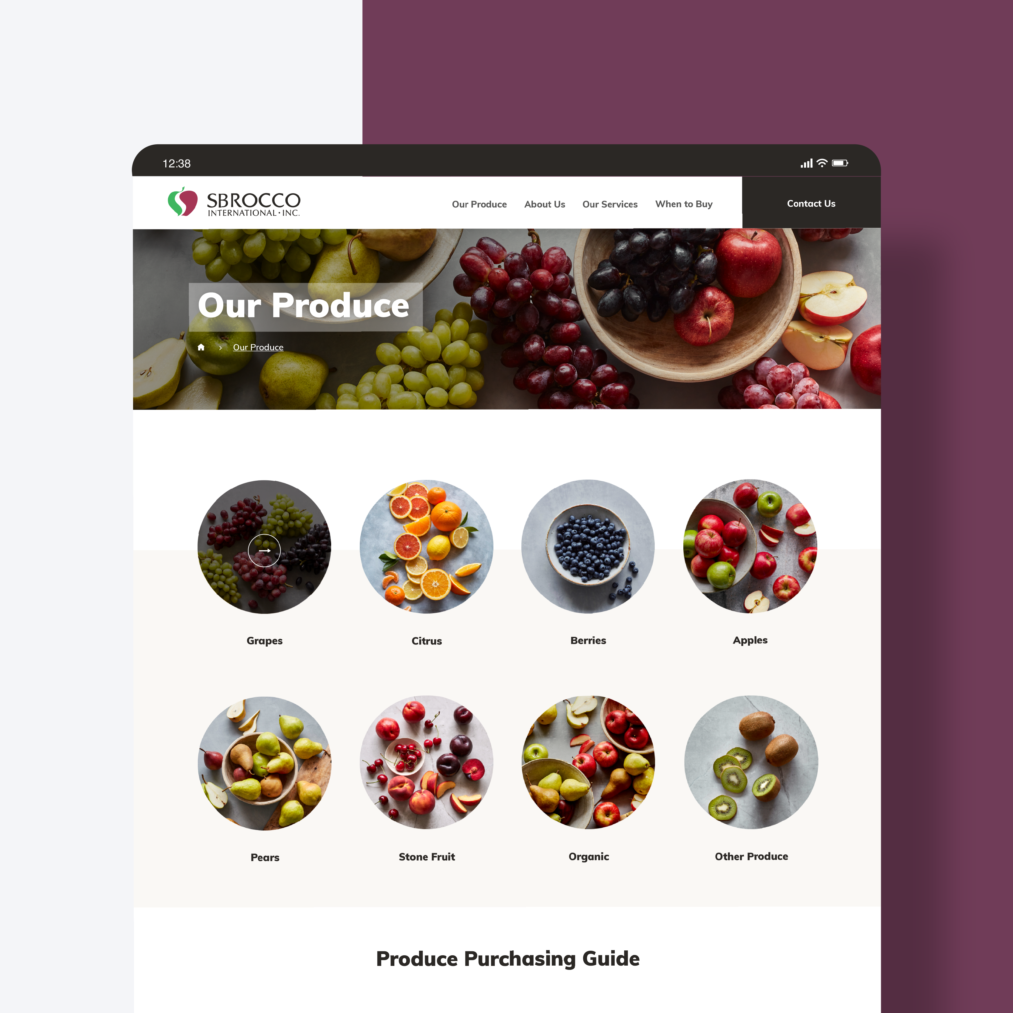 Sbrocco International UI Design design desktop design fruit mobile design ui design ux design website design