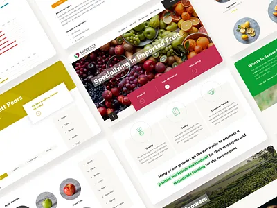 Sbrocco International UI Design desktop design fruit ui design ux design website website design