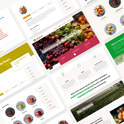 Sbrocco International UI Design desktop design fruit ui design ux design website website design