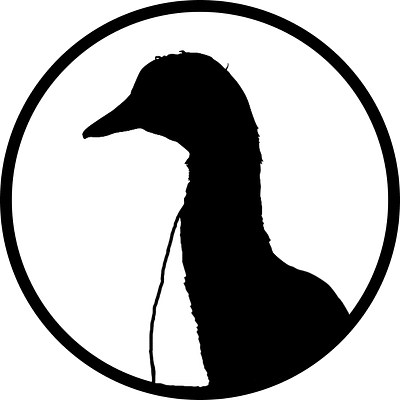 Shetland Duck Website Logo branding conservation design duck ducks figma graphic design illustration logo shetland duck typography ui ux
