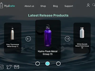 Hydrate Water Bottle Company branding graphic design ui