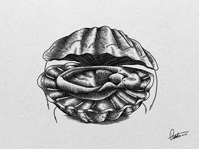 Shell! art blackandwhite contemporary illustration ink noise pollution