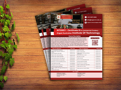 Premium Flyer Design branding flyer flyer design graphic design premium flyer deisgn social media design