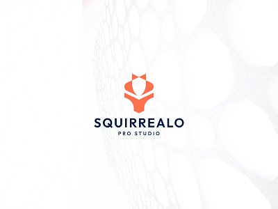 Squirrel Logo | Digital Services Agency agency branding design design agency digital services agency graphic design illustration information it logo logo design minimal multimedia agency squirrel tech logo ui ux vector