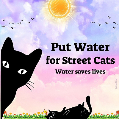 post animals cat cats design flyer graphic design water