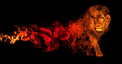 LION ART BY: BorneoNFT animation graphic design lion motion graphics