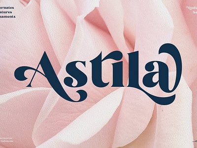 Astila - Modern & Playful Serif Font logo vintage font wedding wedding font