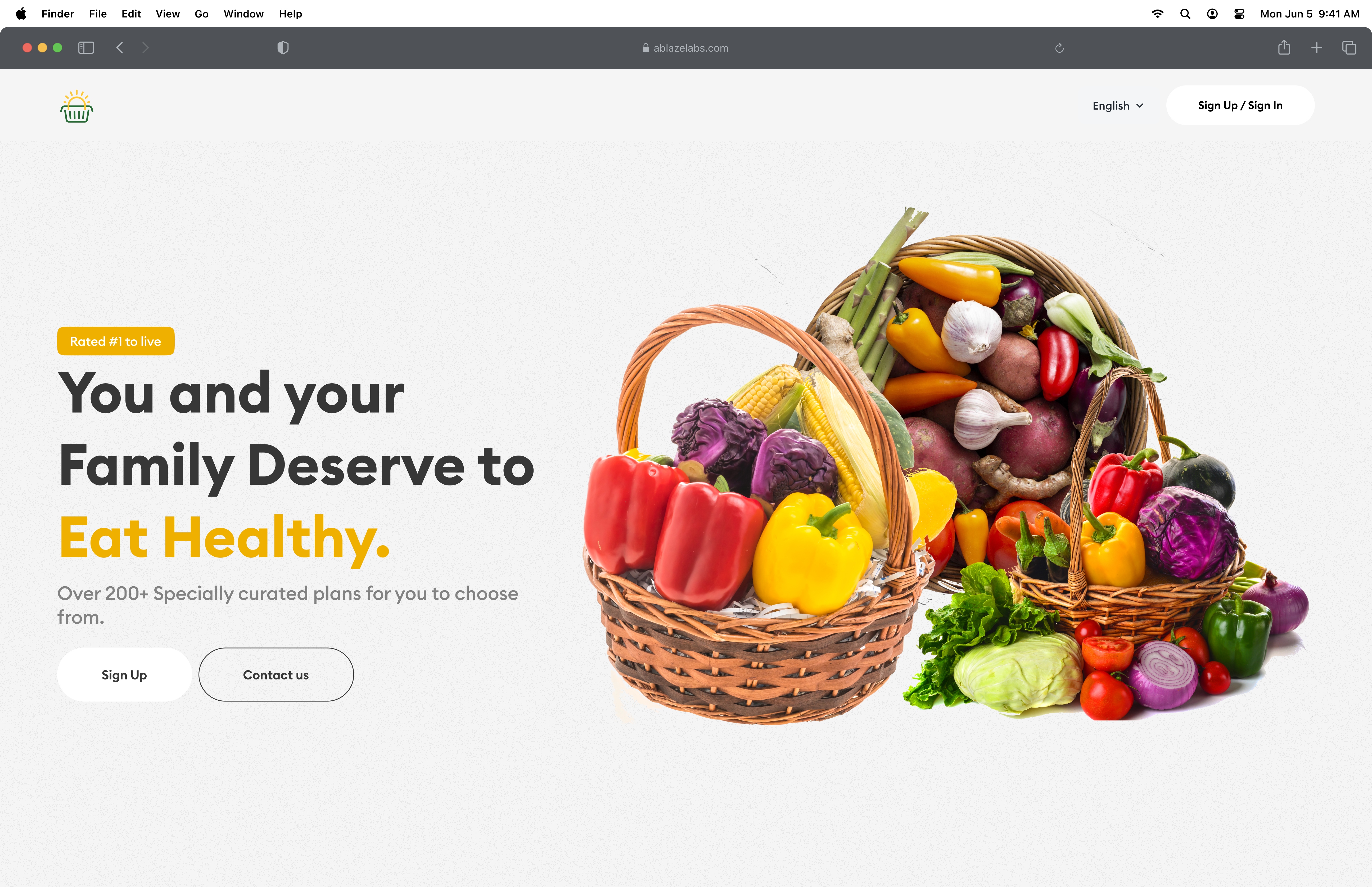 Groceries Website look Exploration branding design landing ui ux