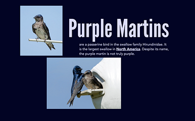 XML: Purple Martin Website dynamic data htmlcss microsite xml