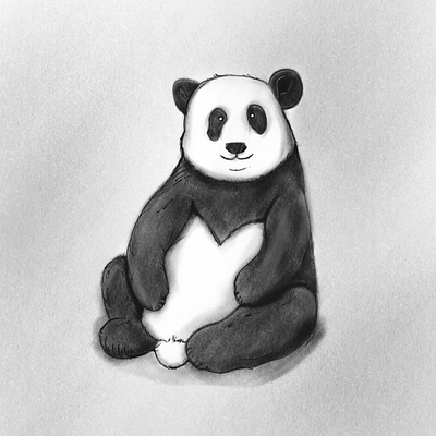 Panda design illustration panda