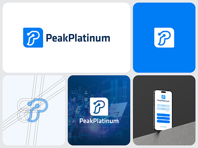 PeakPlatinum Logo Design brand guidelines brand identity branding creative logo favicon symbol monogram icon logo logo design logo designer logomark logotype minimal minimalistic logo modern logo platinum logo popular logo professional logo software logo typography vector