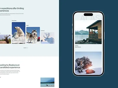Travel website landing page exploration design hotel illustration landing page minimal mobile product design responsive travel ui uiux website wild