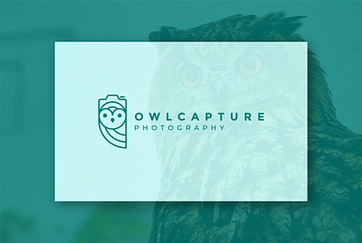 Owl Capture lineart logo logo design minimal photography