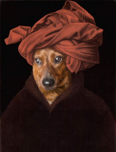 Dachshund Delight: A Playful Twist on a Classic Portrait classics dachshund illustration photo portraits procreate retouch