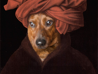 Dachshund Delight: A Playful Twist on a Classic Portrait classics dachshund illustration photo portraits procreate retouch