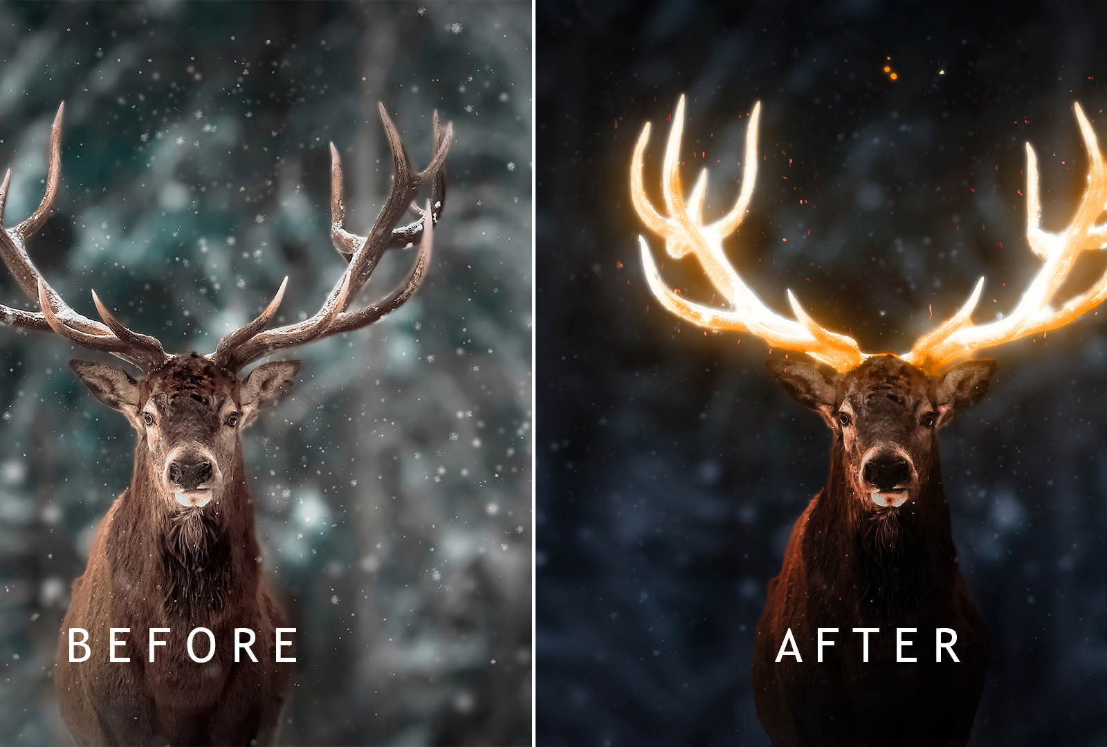 Image Manipulation by shivamani__696 on Dribbble