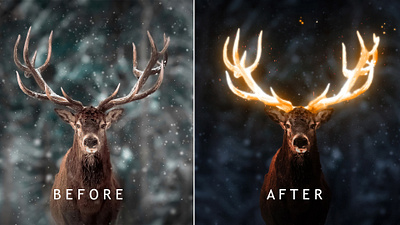 Image Manipulation deer fire illustrator image manipulation photoshop sfx snow vfx