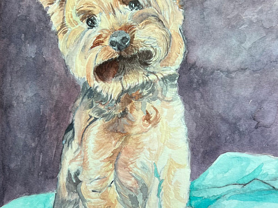 Watercolor Yorkie drawing fine art painting watercolor