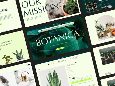 Ecommerce theme, Botanica appdesign ecommerce illustration interface design typography ui ux website website design