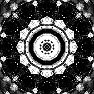 Mandala Art 2 - Dark to Light black and white mandalas