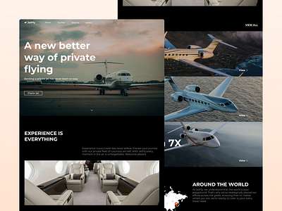 JetFly: Modern Website for Private Flights aircraft black booking brand business charter concept design jet jets landing luxury luxury brand minimalistic modern page rent ui ux website