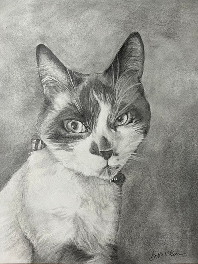 Cat Portrait drawing fine art