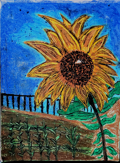// Sunflowers coloful drawing illustration oil pastel oil pastels sunflower